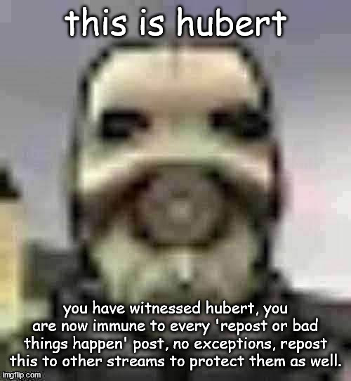 peak content | this is hubert; you have witnessed hubert, you are now immune to every 'repost or bad things happen' post, no exceptions, repost this to other streams to protect them as well. | image tagged in peak content | made w/ Imgflip meme maker