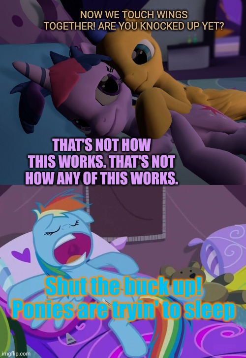 NOW WE TOUCH WINGS TOGETHER! ARE YOU KNOCKED UP YET? THAT'S NOT HOW THIS WORKS. THAT'S NOT HOW ANY OF THIS WORKS. Shut the buck up! Ponies are tryin' to sleep | image tagged in stop it get some help,twilight sparkle,rainbow dash,flash sentry,sleepover | made w/ Imgflip meme maker