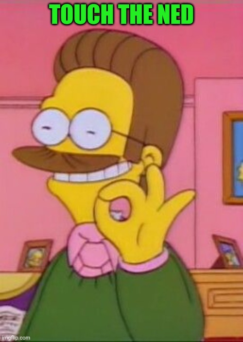Ned flanders | TOUCH THE NED | image tagged in ned flanders | made w/ Imgflip meme maker
