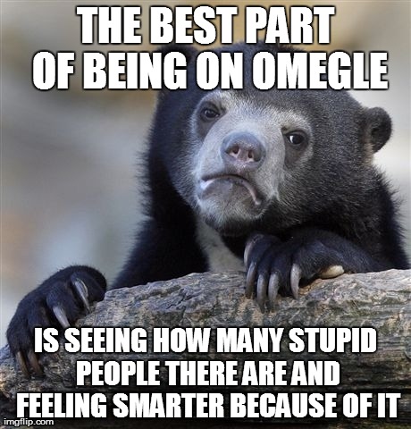 Confession Bear | THE BEST PART OF BEING ON OMEGLE IS SEEING HOW MANY STUPID PEOPLE THERE ARE AND FEELING SMARTER BECAUSE OF IT | image tagged in memes,confession bear,AdviceAnimals | made w/ Imgflip meme maker