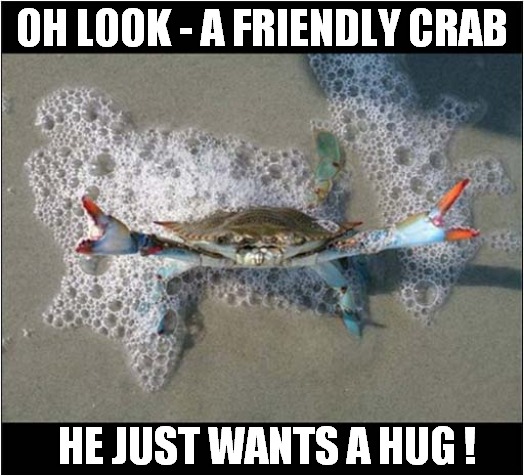 To Make You Smile ! | OH LOOK - A FRIENDLY CRAB; HE JUST WANTS A HUG ! | image tagged in fun,crabs,hug,smile | made w/ Imgflip meme maker