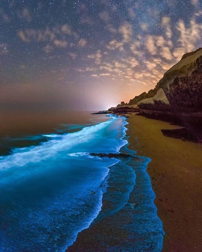 Bioluminescent Phytoplankton In The Persian Gulf | image tagged in awesome,piccs,photography | made w/ Imgflip meme maker
