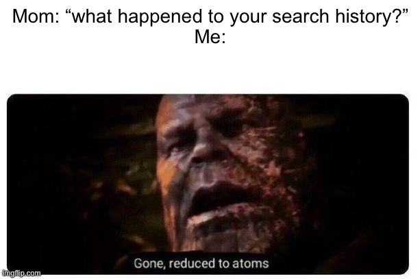 gone reduced to atoms | Mom: “what happened to your search history?”
Me: | image tagged in gone reduced to atoms | made w/ Imgflip meme maker