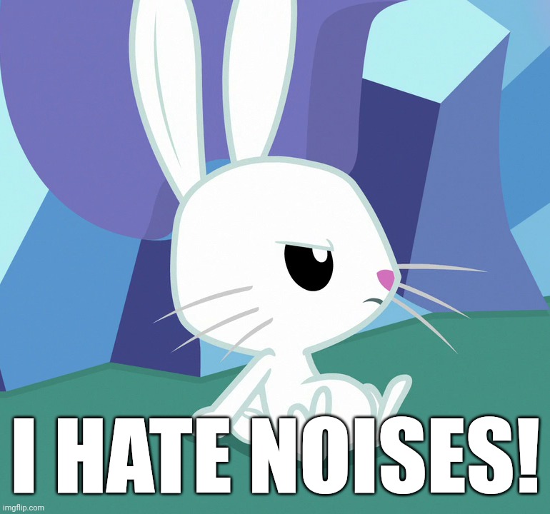 I HATE NOISES! | made w/ Imgflip meme maker