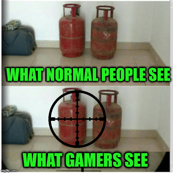  WHAT NORMAL PEOPLE SEE; WHAT GAMERS SEE | image tagged in gaming,sights,shooter | made w/ Imgflip meme maker