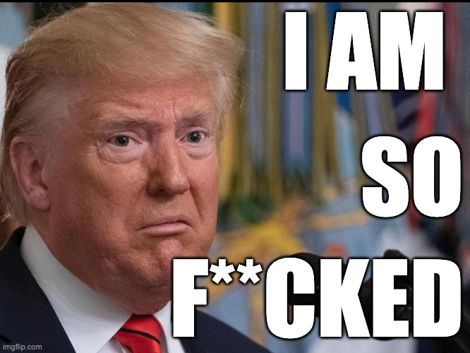 F**ked | I AM; SO; F**CKED | image tagged in donald trump,guilty | made w/ Imgflip meme maker