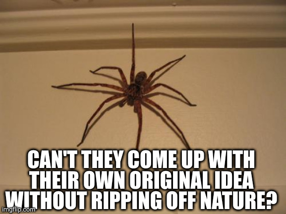 Scumbag Spider | CAN'T THEY COME UP WITH THEIR OWN ORIGINAL IDEA WITHOUT RIPPING OFF NATURE? | image tagged in scumbag spider | made w/ Imgflip meme maker