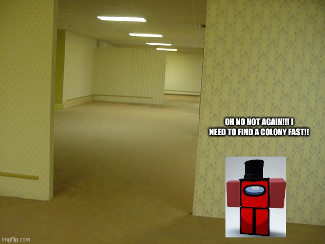 chapter 1 - Amogus noclips into the backrooms |  OH NO NOT AGAIN!!! I NEED TO FIND A COLONY FAST!! | image tagged in the backrooms | made w/ Imgflip meme maker