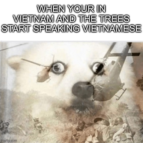 WHEN YOUR IN VIETNAM AND THE TREES START SPEAKING VIETNAMESE | image tagged in blank white template,ptsd dog | made w/ Imgflip meme maker