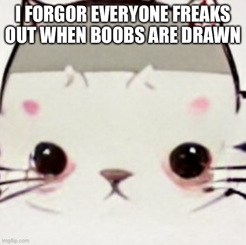 hoes zad | I FORGOR EVERYONE FREAKS OUT WHEN BOOBS ARE DRAWN | image tagged in hoes zad | made w/ Imgflip meme maker