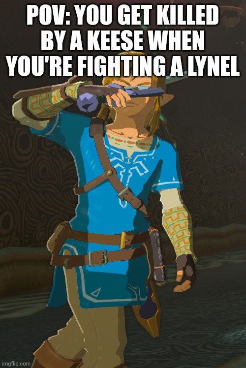 I mean that's just sad | POV: YOU GET KILLED BY A KEESE WHEN YOU'RE FIGHTING A LYNEL | image tagged in link,stab,certified bruh moment,why are you reading this,barney will eat all of your delectable biscuits | made w/ Imgflip meme maker