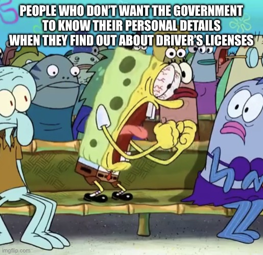 Spongebob Yelling | PEOPLE WHO DON’T WANT THE GOVERNMENT TO KNOW THEIR PERSONAL DETAILS WHEN THEY FIND OUT ABOUT DRIVER’S LICENSES | image tagged in spongebob yelling | made w/ Imgflip meme maker