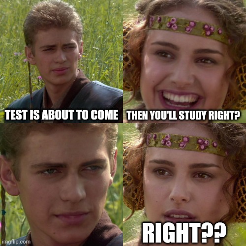 Anakin Padme 4 Panel |  TEST IS ABOUT TO COME; THEN YOU'LL STUDY RIGHT? RIGHT?? | image tagged in anakin padme 4 panel | made w/ Imgflip meme maker