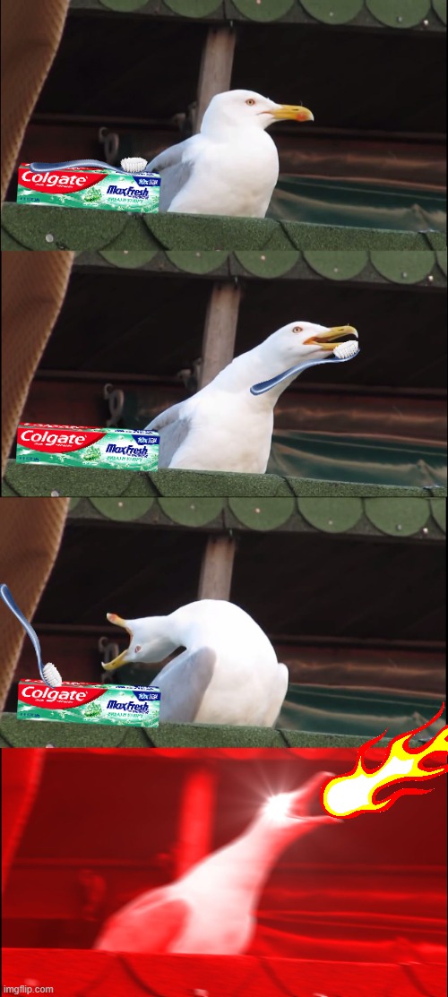 Trying Mint | image tagged in memes,inhaling seagull | made w/ Imgflip meme maker