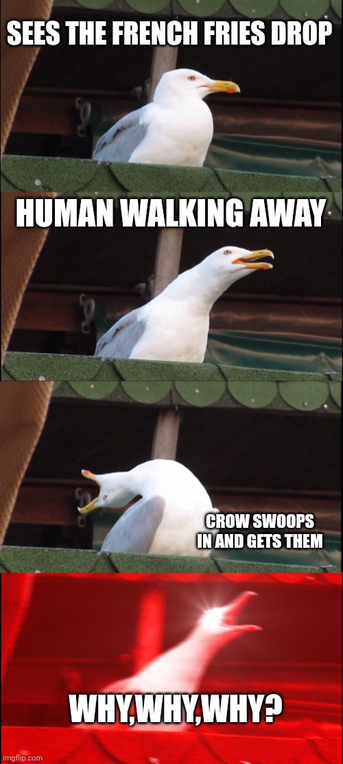 Inhaling Seagull | SEES THE FRENCH FRIES DROP; HUMAN WALKING AWAY; CROW SWOOPS IN AND GETS THEM; WHY,WHY,WHY? | image tagged in memes,inhaling seagull | made w/ Imgflip meme maker