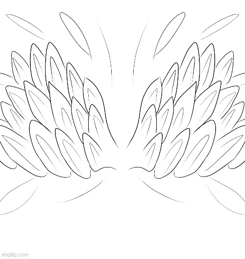 Practicing drawing wings | made w/ Imgflip meme maker