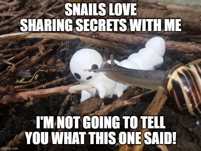 Snails Love Sharing Secrets With Me! | SNAILS LOVE SHARING SECRETS WITH ME; I'M NOT GOING TO TELL YOU WHAT THIS ONE SAID! | image tagged in snail,cute,silly,secrets | made w/ Imgflip meme maker