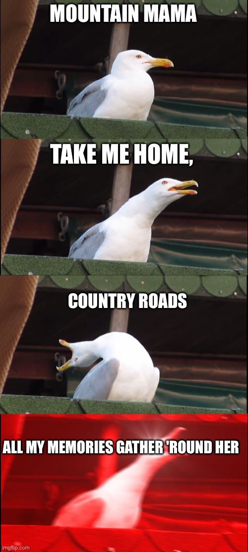 Inhaling Seagull Meme | MOUNTAIN MAMA TAKE ME HOME, COUNTRY ROADS ALL MY MEMORIES GATHER 'ROUND HER MINER'S LADY, STRANGER TO BLUE WATER | image tagged in memes,inhaling seagull | made w/ Imgflip meme maker