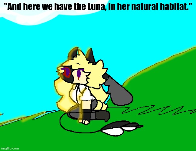 Sorry, I know, I'm bad at drawing backgrounds. | "And here we have the Luna, in her natural habitat." | made w/ Imgflip meme maker