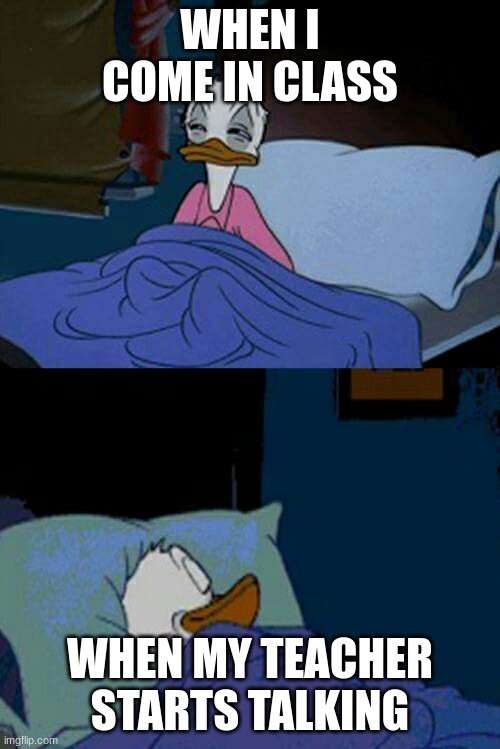 sleepy donald duck in bed | WHEN I COME IN CLASS; WHEN MY TEACHER STARTS TALKING | image tagged in sleepy donald duck in bed | made w/ Imgflip meme maker