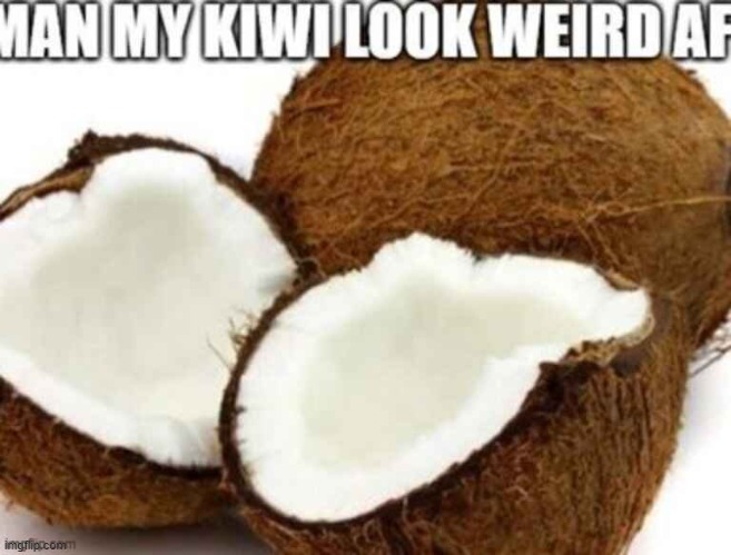 damn this hits | image tagged in funny,memes,kiwi,coconut | made w/ Imgflip meme maker