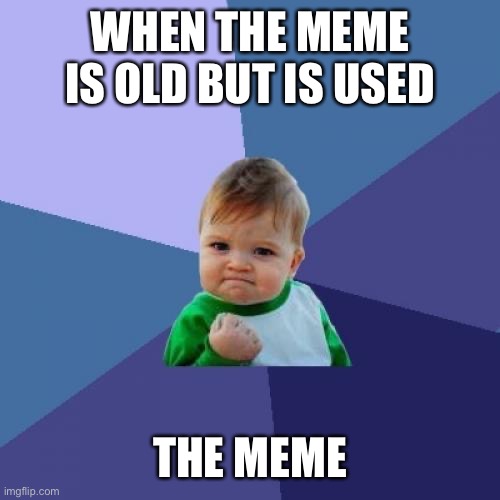 I posted this on repost once by accident |  WHEN THE MEME IS OLD BUT IS USED; THE MEME | image tagged in memes,success kid | made w/ Imgflip meme maker