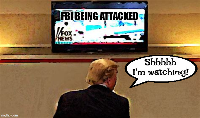 Trump incites again. | FBI BEING ATTACKED; Shhhhh I'm watching! | image tagged in donald trump,maga,criminal,thug,coup | made w/ Imgflip meme maker