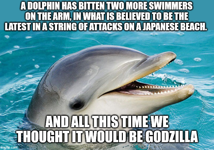 Dolphin | A DOLPHIN HAS BITTEN TWO MORE SWIMMERS ON THE ARM, IN WHAT IS BELIEVED TO BE THE LATEST IN A STRING OF ATTACKS ON A JAPANESE BEACH. AND ALL THIS TIME WE THOUGHT IT WOULD BE GODZILLA | image tagged in dolphin,japan,godzilla | made w/ Imgflip meme maker