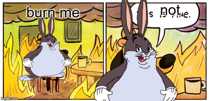 This Is Fine | not; burn me | image tagged in memes,this is fine | made w/ Imgflip meme maker