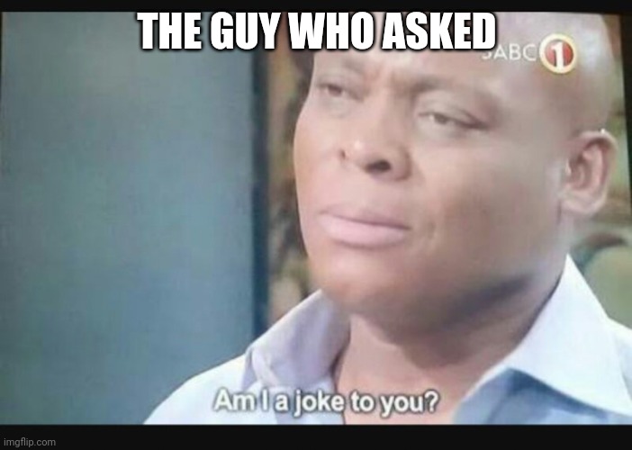 Am I a joke to you? | THE GUY WHO ASKED | image tagged in am i a joke to you | made w/ Imgflip meme maker