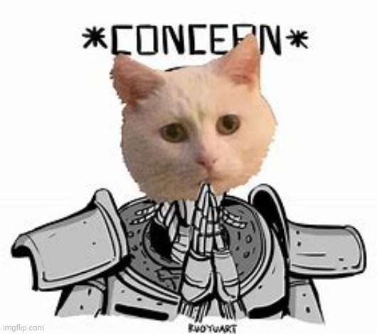 Concern | image tagged in concern | made w/ Imgflip meme maker
