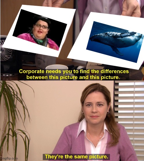 They're The Same Picture Meme | image tagged in memes,they're the same picture | made w/ Imgflip meme maker