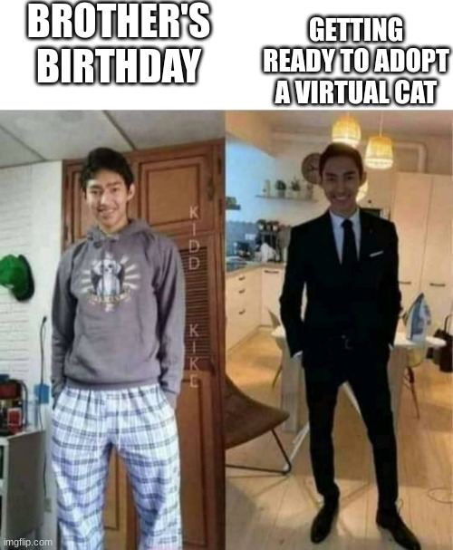 dont ask | BROTHER'S BIRTHDAY; GETTING READY TO ADOPT A VIRTUAL CAT | made w/ Imgflip meme maker