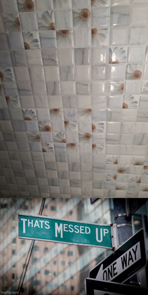 Scrambled | image tagged in thats messed up,bathroom,flower,you had one job,memes,wall | made w/ Imgflip meme maker