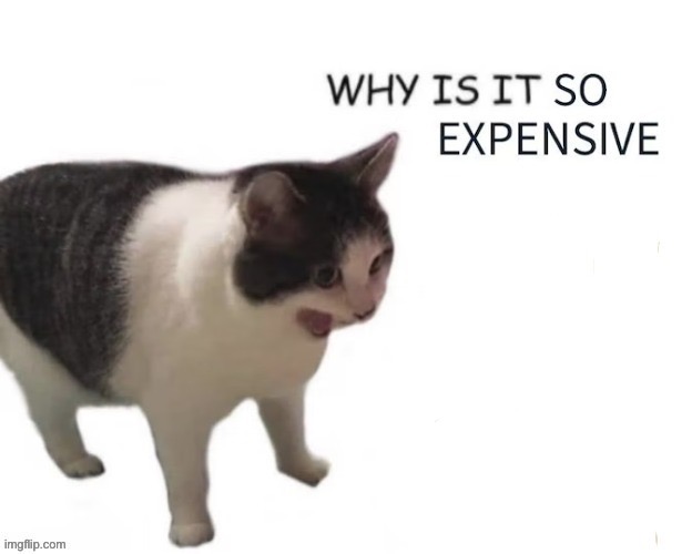 WHY IS IT SO EXPENSIVE | image tagged in why is it so expensive | made w/ Imgflip meme maker