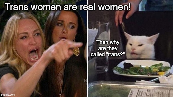 Glad that's settled | Trans women are real women! Then why are they called "trans?" | image tagged in angry lady cat | made w/ Imgflip meme maker