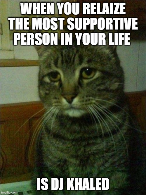 Depressed Cat |  WHEN YOU RELAIZE THE MOST SUPPORTIVE PERSON IN YOUR LIFE; IS DJ KHALED | image tagged in memes,depressed cat | made w/ Imgflip meme maker