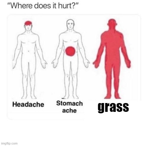 Where does it hurt |  grass | image tagged in where does it hurt,grass,so true,funny,memes | made w/ Imgflip meme maker