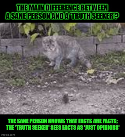 This #lolcat wonders why some think facts are 'just opinions' | THE MAIN DIFFERENCE BETWEEN
A SANE PERSON AND A 'TRUTH SEEKER'? THE SANE PERSON KNOWS THAT FACTS ARE FACTS;
THE 'TRUTH SEEKER' SEES FACTS AS 'JUST OPINIONS' | image tagged in lolcat,think about it,the truth hurts,facts,covidiots,antivax | made w/ Imgflip meme maker