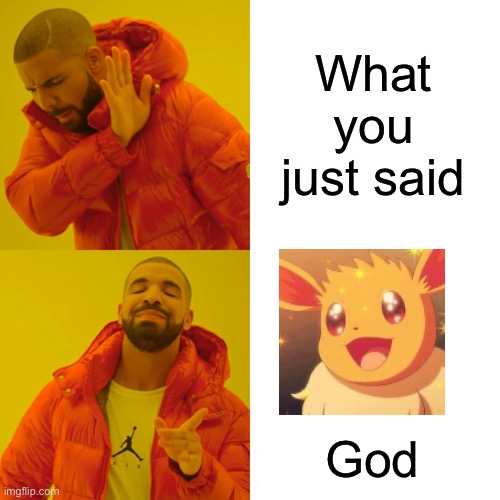 Drake Hotline Bling Meme | What you just said God | image tagged in memes,drake hotline bling | made w/ Imgflip meme maker