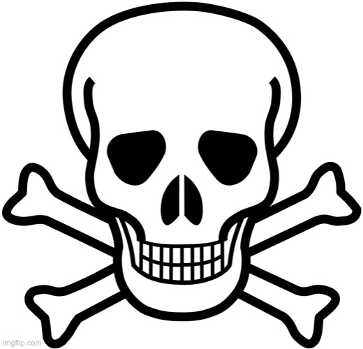 Skull and crossbones | image tagged in skull and crossbones | made w/ Imgflip meme maker