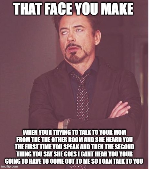 Face You Make Robert Downey Jr Meme | THAT FACE YOU MAKE; WHEN YOUR TRYING TO TALK TO YOUR MOM FROM THE THE OTHER ROOM AND SHE HEARD YOU THE FIRST TIME YOU SPEAK AND THEN THE SECOND THING YOU SAY SHE GOES I CANT HEAR YOU YOUR GOING TO HAVE TO COME OUT TO ME SO I CAN TALK TO YOU | image tagged in memes,face you make robert downey jr | made w/ Imgflip meme maker