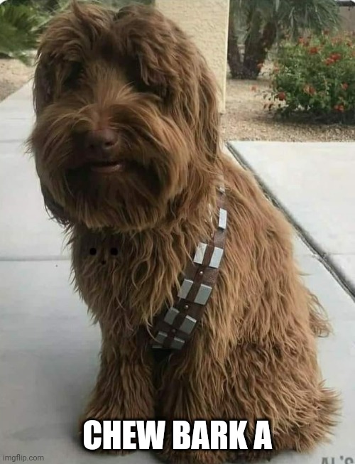 CHEWY THE DOG | CHEW BARK A | image tagged in star wars,star wars meme,dogs,chewbacca | made w/ Imgflip meme maker