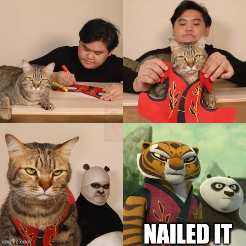LOOKS GOOD TO ME | NAILED IT | image tagged in kung fu panda,cosplay | made w/ Imgflip meme maker