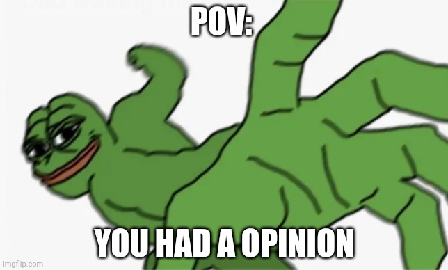pepe punch | POV:; YOU HAD A OPINION | image tagged in pepe punch | made w/ Imgflip meme maker