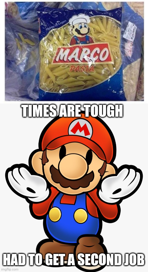 CAN'T ALWAYS RELY ON BEING A PLUMBER |  TIMES ARE TOUGH; HAD TO GET A SECOND JOB | image tagged in nintendo,super mario | made w/ Imgflip meme maker