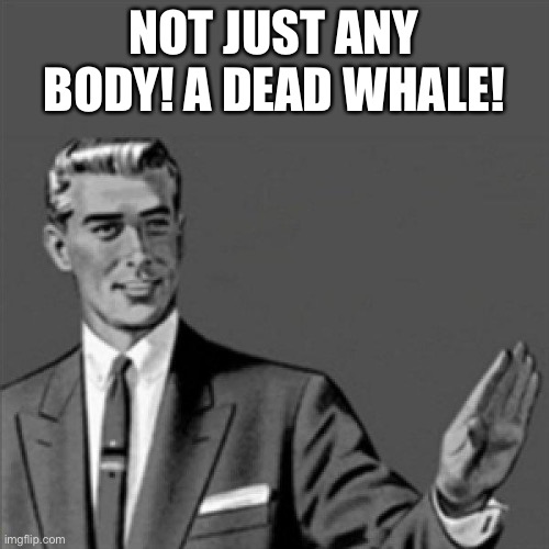 Correction guy | NOT JUST ANY BODY! A DEAD WHALE! | image tagged in correction guy | made w/ Imgflip meme maker
