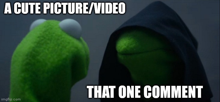 Has this happened to anyone? |  A CUTE PICTURE/VIDEO; THAT ONE COMMENT | image tagged in memes,evil kermit | made w/ Imgflip meme maker