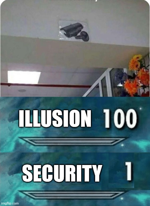 THAT MAY NOT WORK | ILLUSION; SECURITY | image tagged in skyrim skill meme,fail,camera,security | made w/ Imgflip meme maker
