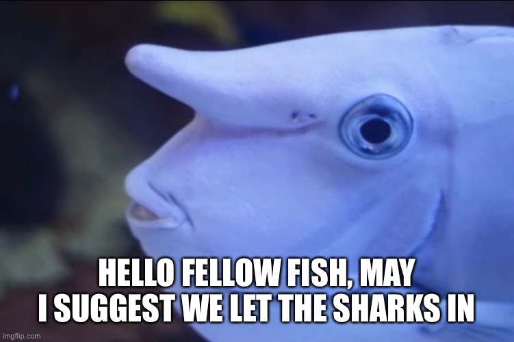 Not A Fish | HELLO FELLOW FISH, MAY I SUGGEST WE LET THE SHARKS IN | image tagged in impostor,fish | made w/ Imgflip meme maker